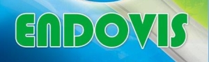 ENDOVIS-logo.jpg - 23.21 kb